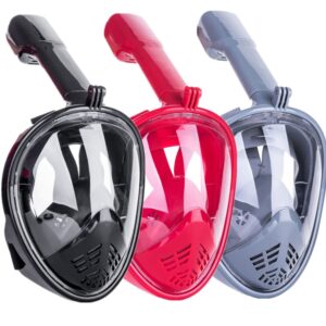 Snorkeling mask